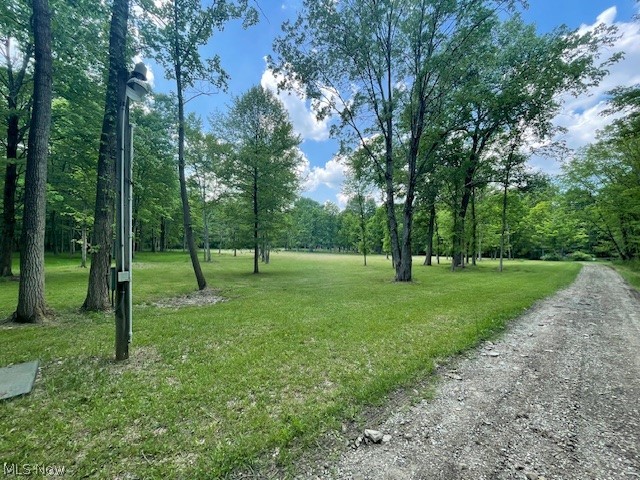 Connecticut Woods - Land
