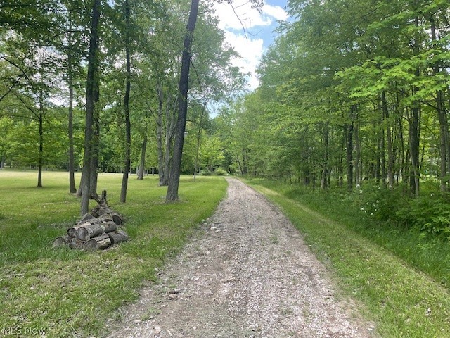 Connecticut Woods - Land