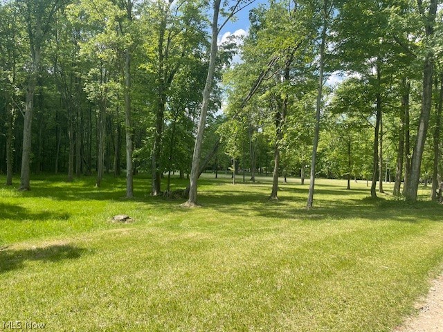 Connecticut Woods - Land