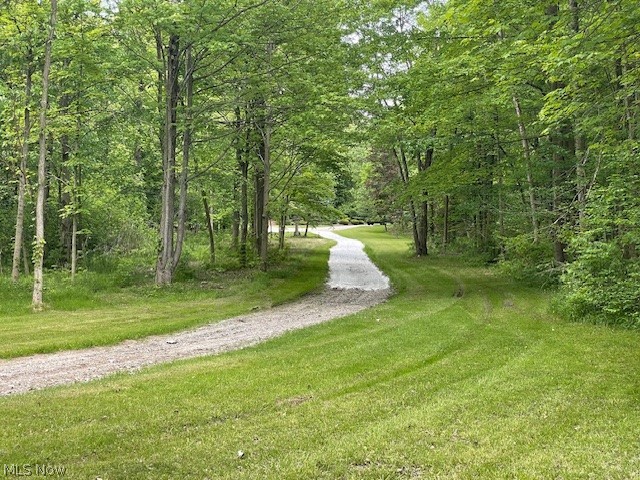 Connecticut Woods - Land