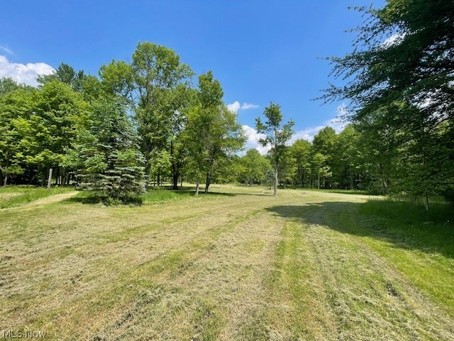 Connecticut Woods - Land