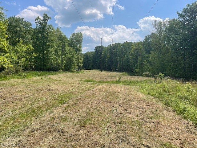 Connecticut Woods - Land