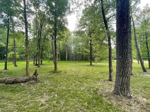 Connecticut Woods - Land