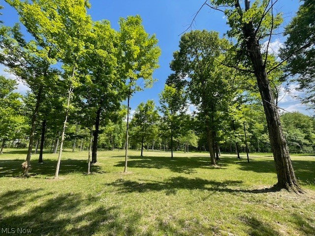 Connecticut Woods - Land