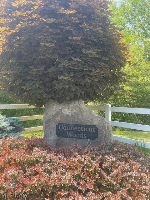 Connecticut Woods - Land