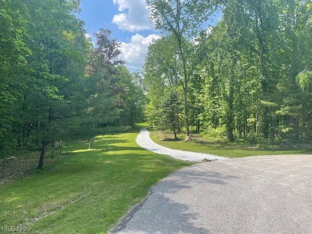 Connecticut Woods - Land