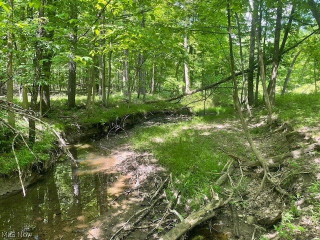 Connecticut Woods - Land