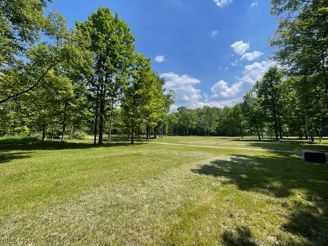 Connecticut Woods - Land