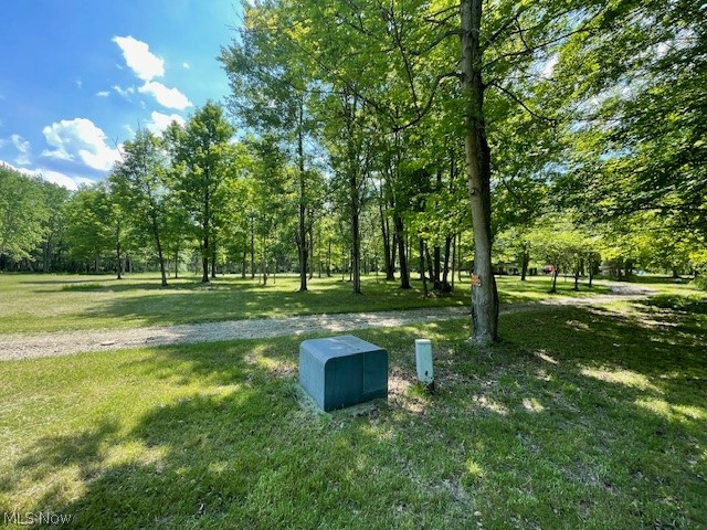 Connecticut Woods - Land