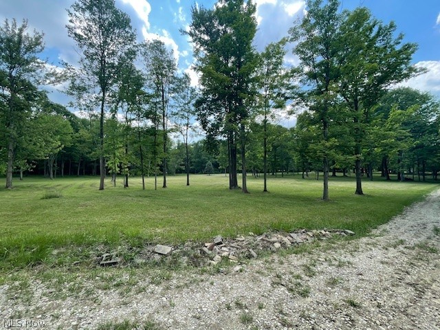 Connecticut Woods - Land