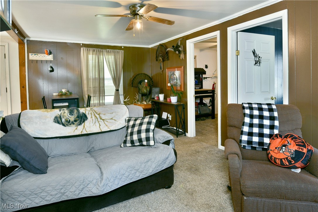 3122 Mccleary Jacoby Road, Cortland, Ohio image 12