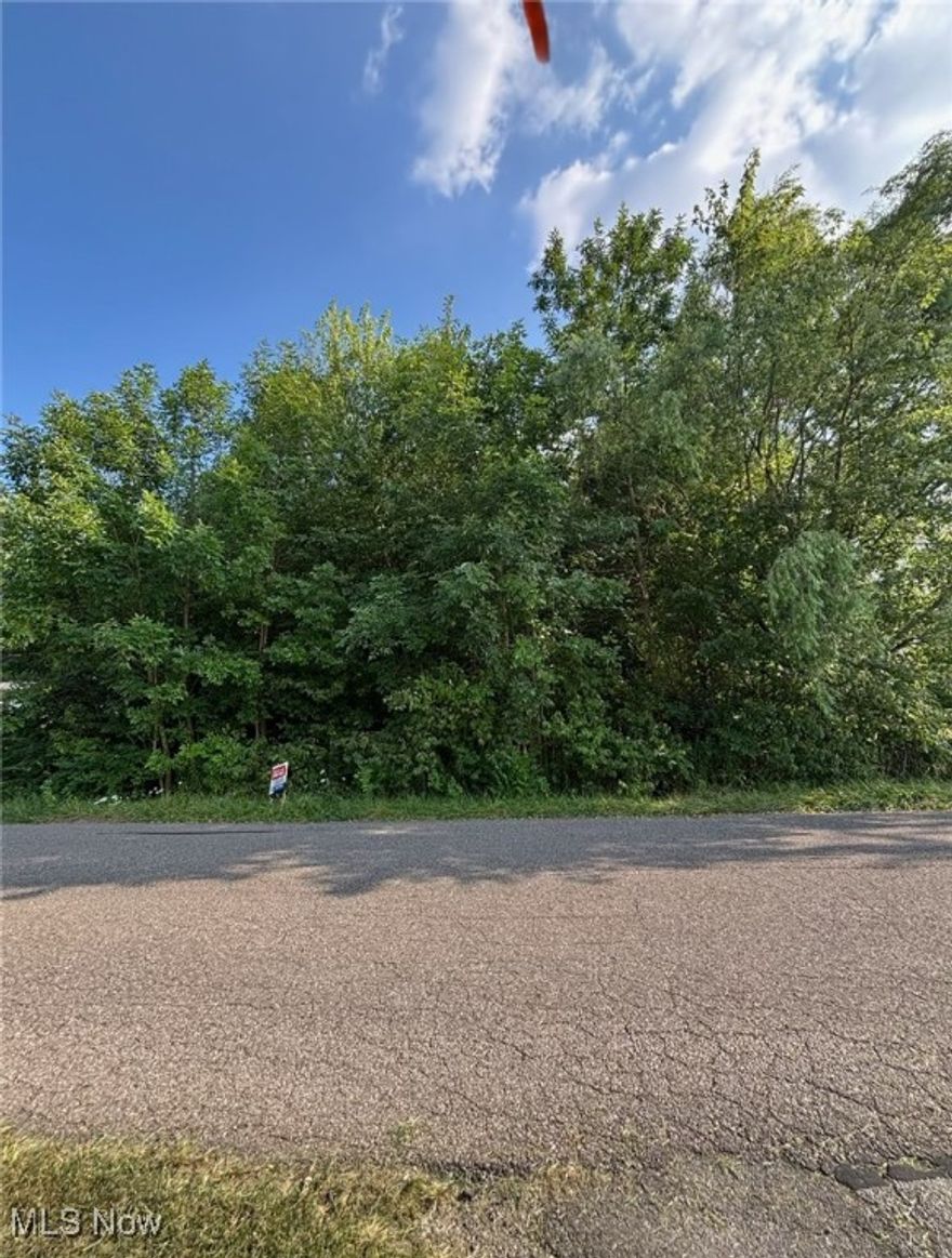 Welcome to Moyer Ave in Boardman LSD, in Boardman township. Wooded lot on .17 acres. Nice add to your current location for a nice side lot, or a possibly building opportunity for you!