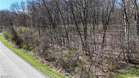 Tiny photo for 47044 Tomahawk Drive, Negley, OH 44441 (MLS # 5255295)