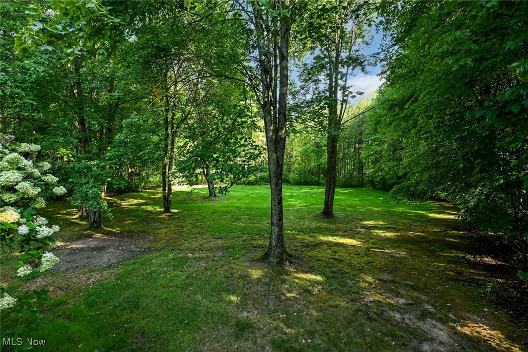 Wood Thrush Pond - Residential