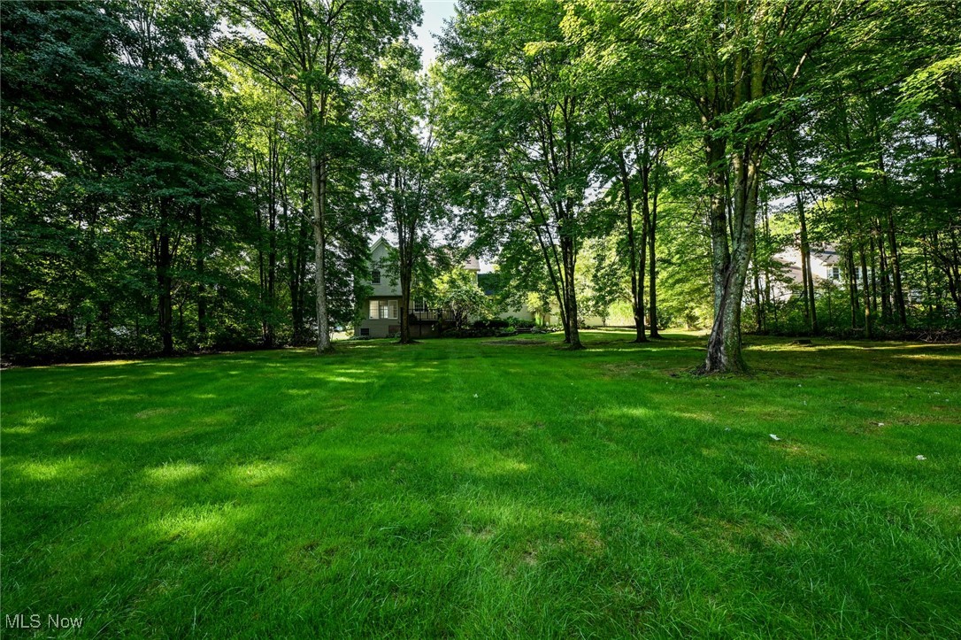 Wood Thrush Pond - Residential