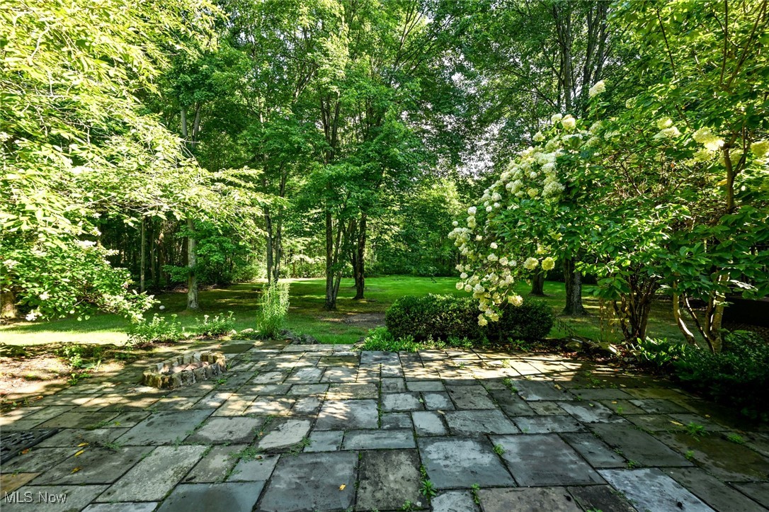 Wood Thrush Pond - Residential
