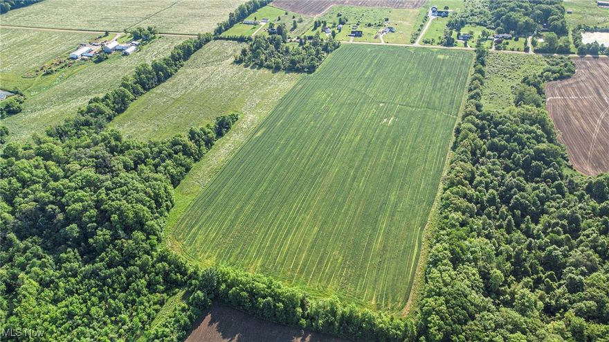 Seeking land with endless potential? Look no further than this expansive 30+ acre field! Whether you’re dreaming of planting crops, building your forever home, or doing both, this property checks all the boxes. With wide-open space and limitless possibilities, your vision can truly take root here. Let your imagination soar—come explore what could be your future today!