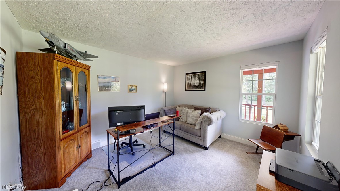 Leroy Township - Residential