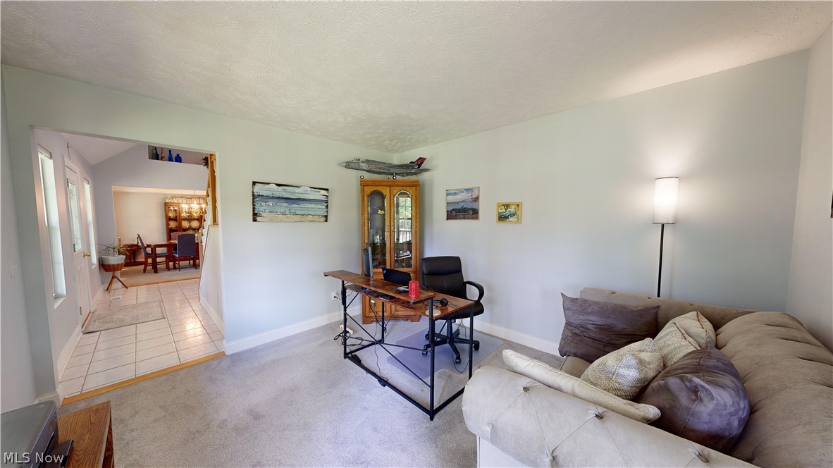 Leroy Township - Residential