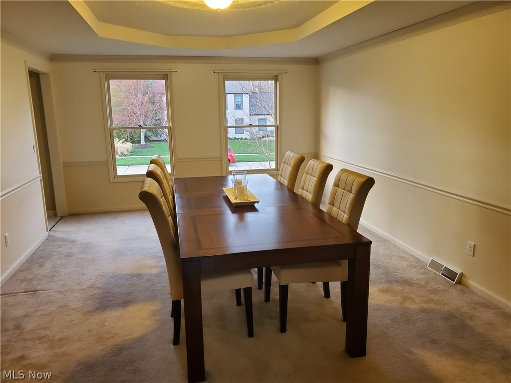 Montville Farms Medina - Residential