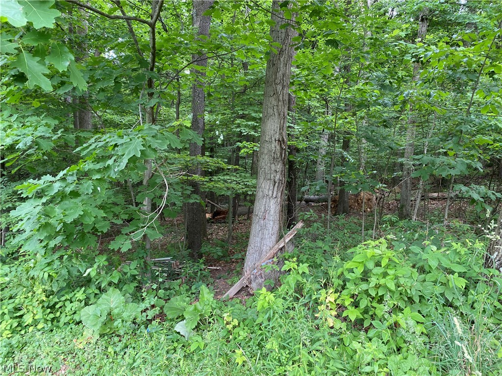 Lake Mohawk Sub - Land