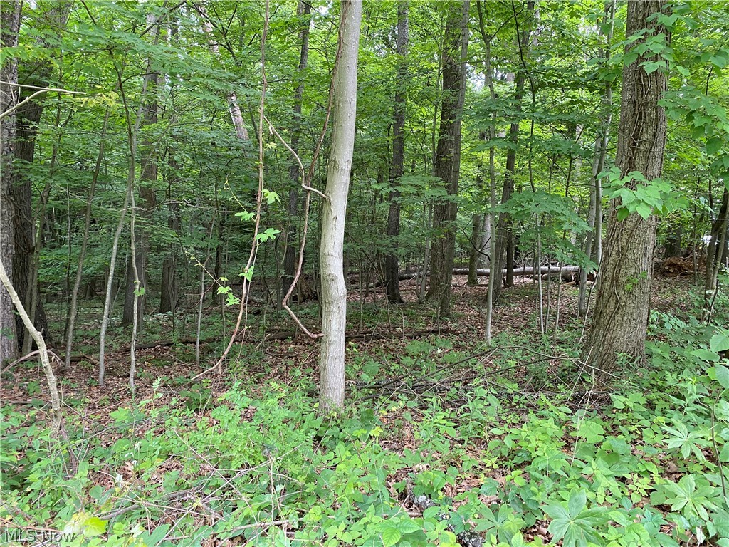 Lake Mohawk Sub - Land