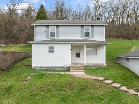 Homes For Sale - 55249 Locust Drive<br/> Bridgeport, OH 43912