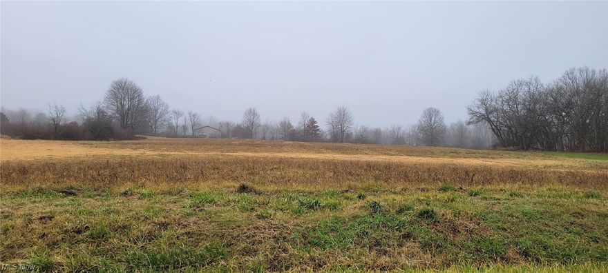 Corner of Bassett Road and State Route 44,  over 13 acres of land with frontage on State Route 44 and Bassett Road Rt 44 frontage is 456 feet and Bassett Road frontage is 1028 feet.  Mineral rights do not transfer.  Buyer to assume CAUV if not farmed.