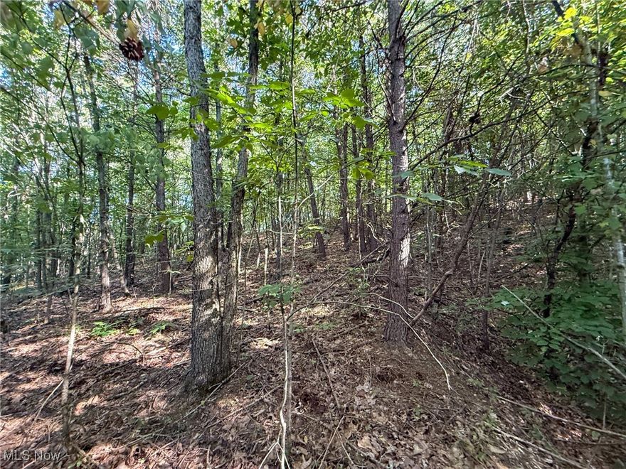 51 +/- acres for sale in Gallia County, Ohio The perfect property for your hunting camp or getaway. Plenty of Wayne National Forest adjoining the property to hunt and enjoy. 

Features of this property include:

- 51 +/- total acres 
- All wooded 
- Good mix of hardwoods and softwoods
- Mostly younger immature woods 
- Topography is hilly
- Directly adjoins Wayne National Forest 
- Sellers mineral rights transfer 
- Great hunting area 
- Good deer sign
- Additional acreage may be available with other lots 

A great property at a great price. This may not last long. Grab your boots and come take a hike before it's gone. Call today with any questions or interest.