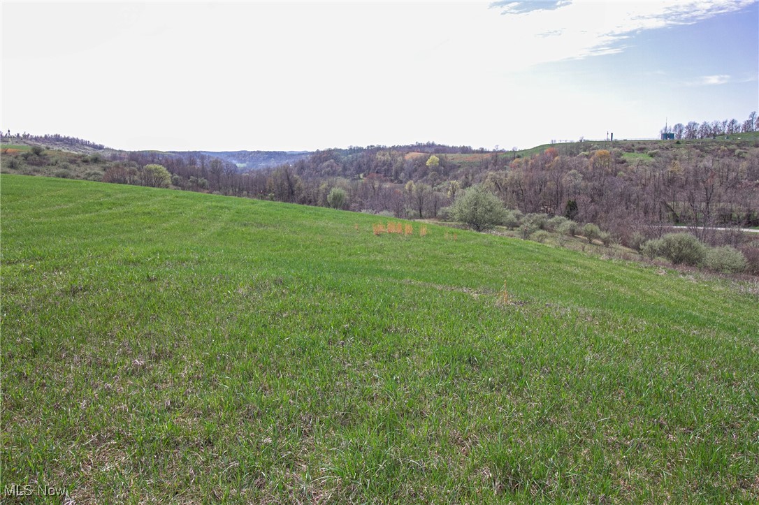 10 Acres Whiskey Run, Quaker City, Ohio image 23