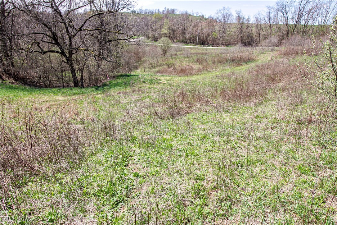 10 Acres Whiskey Run, Quaker City, Ohio image 8