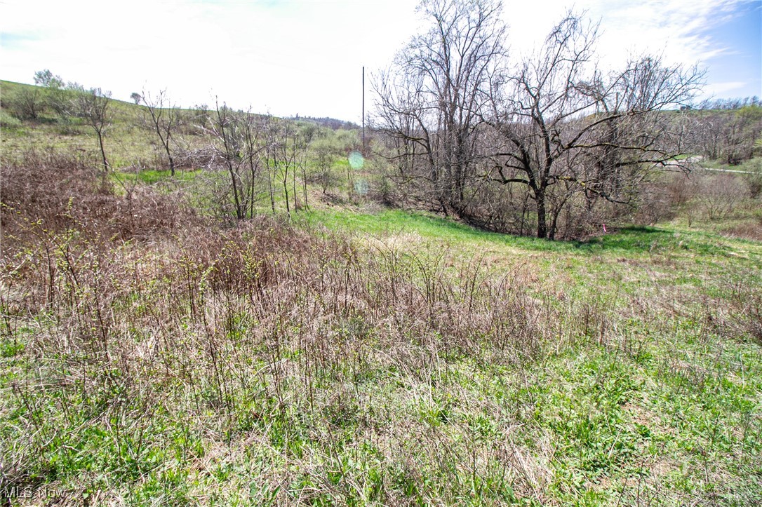 10 Acres Whiskey Run, Quaker City, Ohio image 9