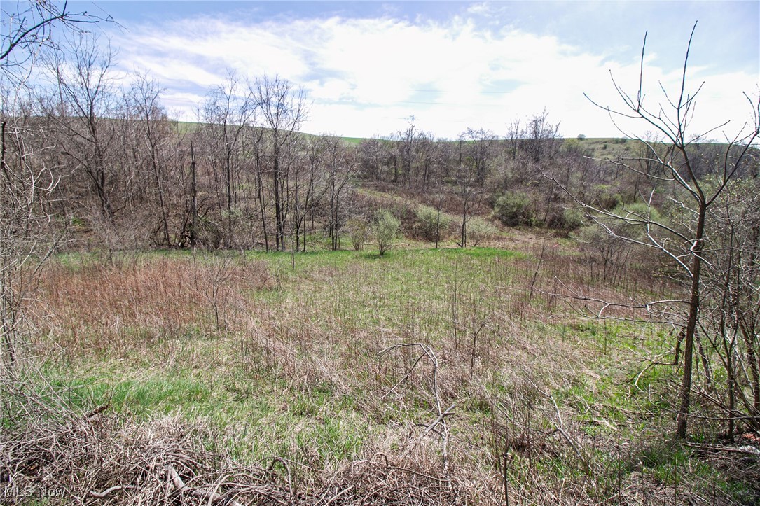 10 Acres Whiskey Run, Quaker City, Ohio image 14