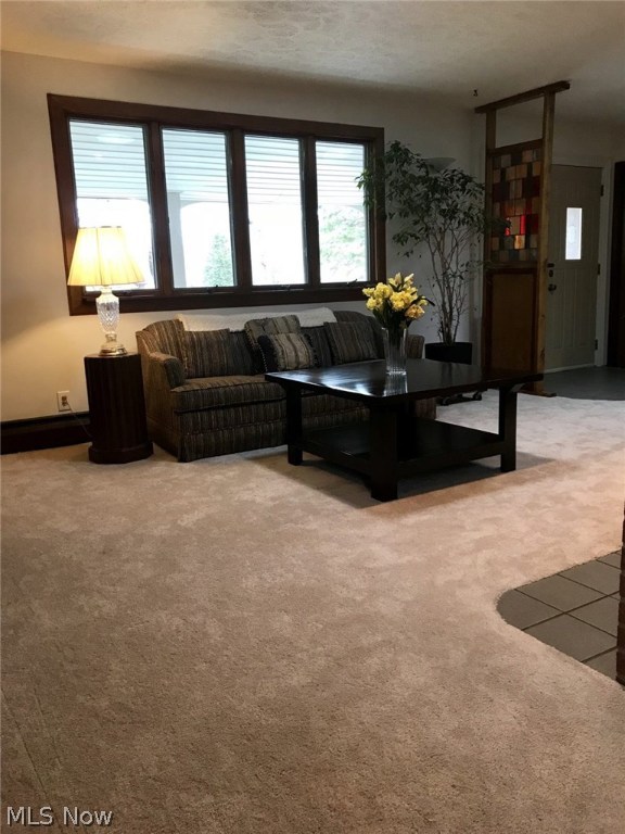 Chagrin Lagoons - Residential