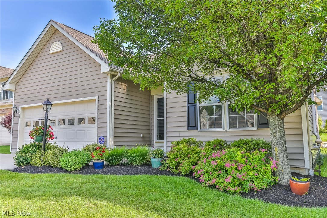 Here is a Spectacular & sought after Ranch home, built in 2006. This cluster/single family home has a monthly association fee that covers yard work & snow shoveling. How could it get any better? It has 9 foot ceilings on 1st floor and vaulted ceilings in great area (Living & dining rooms & kitchen) There is a dramatic gas log fireplace in living room and sliders that walk out to a newer wood deck (2016). There are 3 full baths. The "on suite" master has a soaking tub/shower combination. The kitchen features all stainless appliances that stay & there is a custom pull out rack for pot & pan organization plus a nice lazy susan cabinet. The countertops are granite (2018) with under mount sink. All carpeting on first floor was replaced this year (5/19) along with much of the interior painting in fashion neutral colors. The lower level is awesome and has a large family room with bar area & the bar appliances will stay. There is a full bath on lower level and a huge bedroom that owners use f
