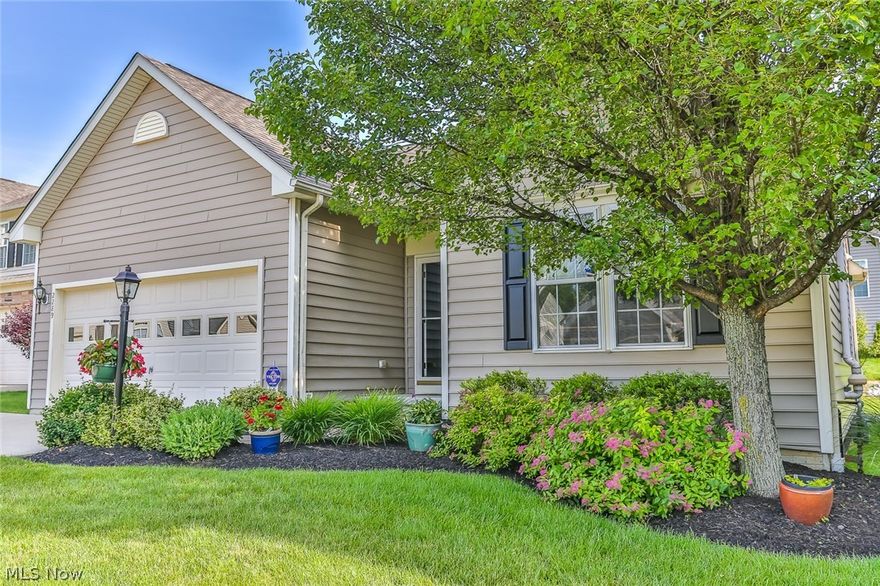 Here is a Spectacular & sought after Ranch home, built in 2006. This cluster/single family home has a monthly association fee that covers yard work & snow shoveling. How could it get any better? It has 9 foot ceilings on 1st floor and vaulted ceilings in great area (Living & dining rooms & kitchen) There is a dramatic gas log fireplace in living room and sliders that walk out to a newer wood deck (2016). There are 3 full baths.  The "on suite" master has a soaking tub/shower combination. The kitchen features all stainless appliances that stay & there is a custom pull out rack for pot & pan organization plus a nice lazy susan cabinet. The countertops are granite (2018) with under mount sink. All carpeting on first floor was replaced this year (5/19) along with much of the interior painting in fashion neutral colors. The lower level is awesome and has a large family room with bar area & the bar appliances will stay. There is a full bath on lower level and a huge bedroom that owners use f