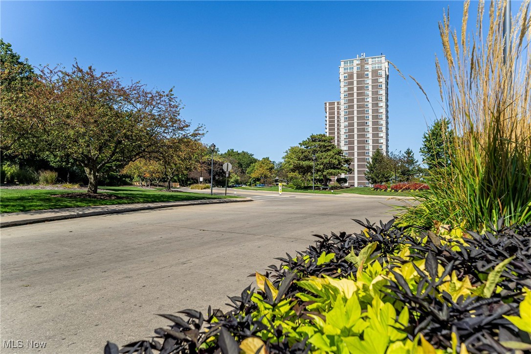 The Carlyle - Residential