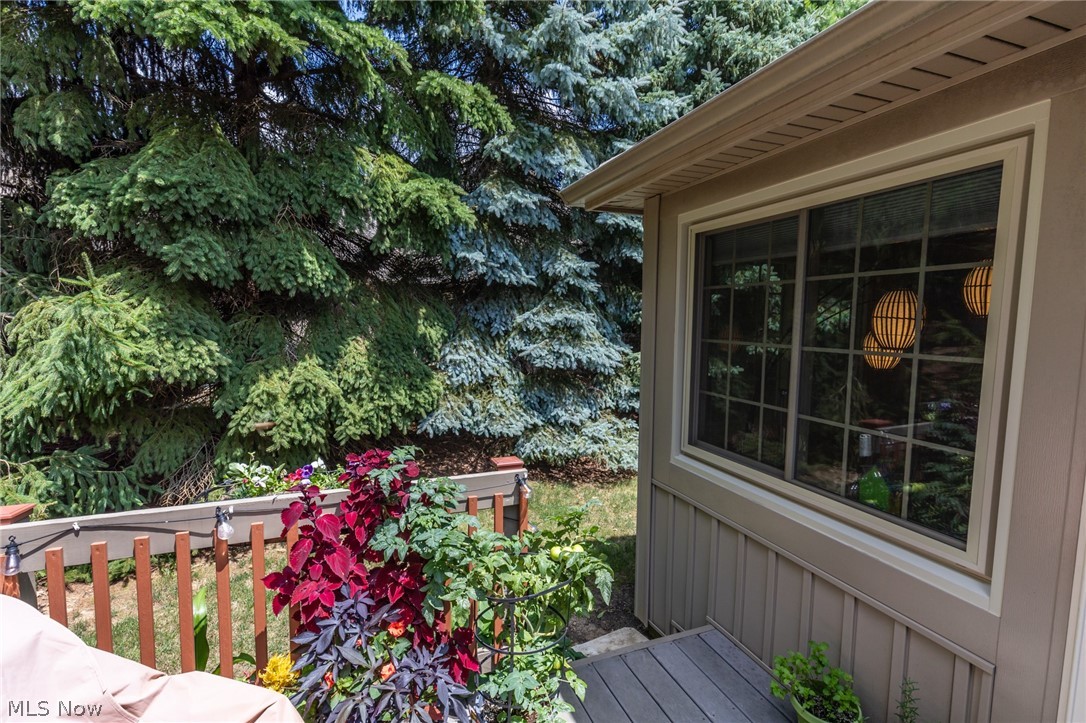 Robin Ridge Condo - Residential