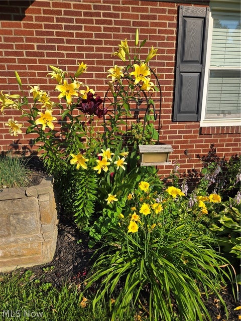 Tiny photo for 4649 Roosevelt Avenue NE, Canton, OH 44705 (MLS # 5252242)