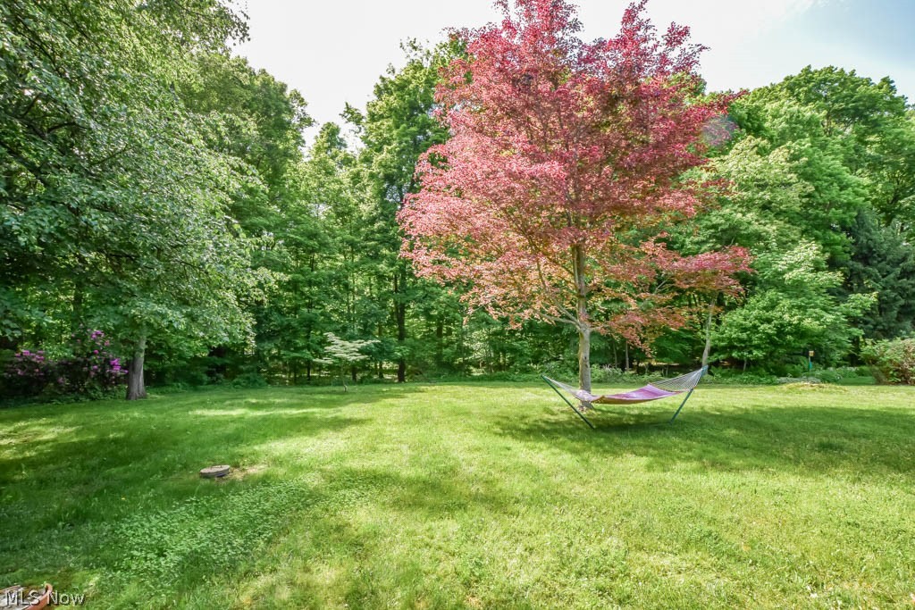 Arrow Lake Estates - Residential