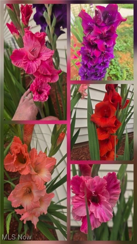 Tiny photo for 4811 W Pleasant Valley Road, Parma, OH 44129 (MLS # 5178902)