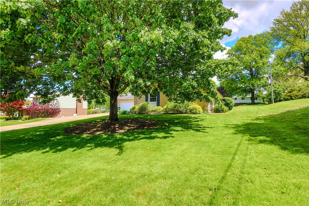 Louisville - Residential
