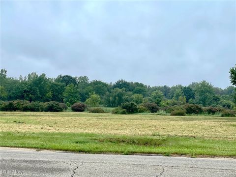 Vacant Land For Sale - Munson Street<br/> Stark County, Canton, OH 44718