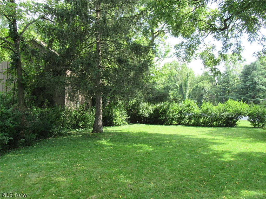 Village/Lk Chippewa - Residential