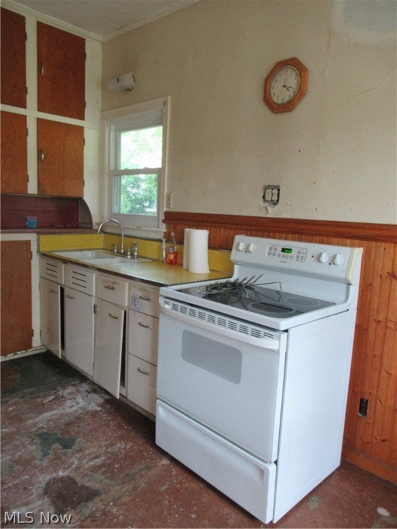 Village/Lk Chippewa - Residential