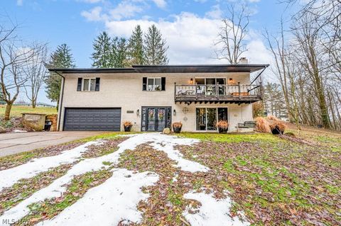 16470 Meadowville Street SE Minerva OH 44657