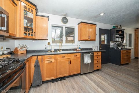 Tiny photo for 16470 Meadowville Street SE, Minerva, OH 44657 (MLS # 5188087)