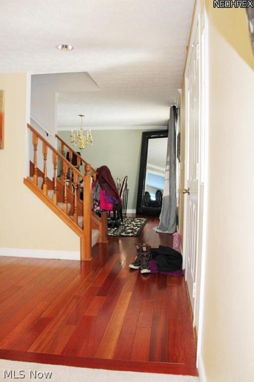 South Point Meadows - Residential