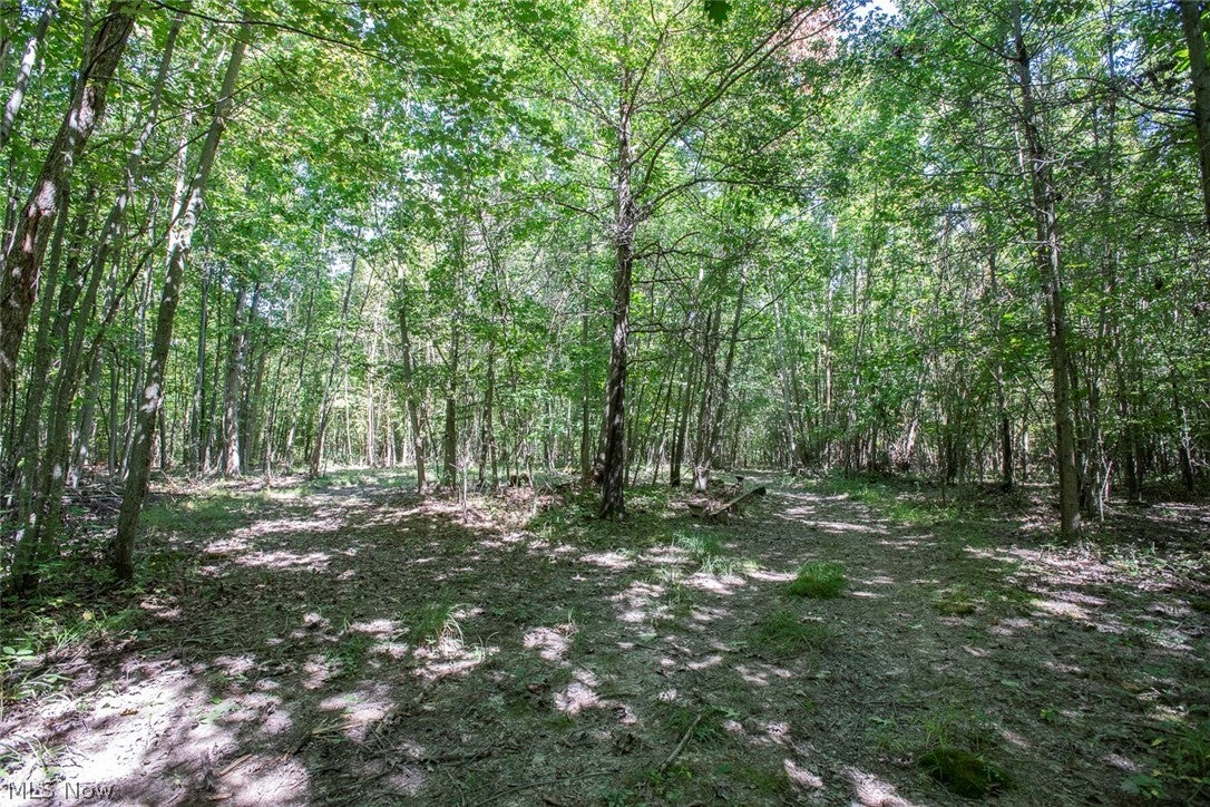 Dunham Road Lot 2