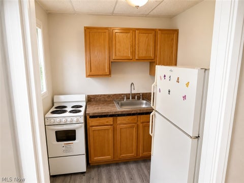 Tiny photo for 22651 Fox Avenue, Euclid, OH 44123 (MLS # 5239665)